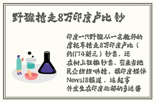 得得啪在线视频观看